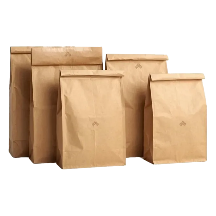 Paper Mailing Bags-02.webp